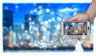 kaiyun app-高校运动训练数据智能分析技术，高校运动项目的训练设置