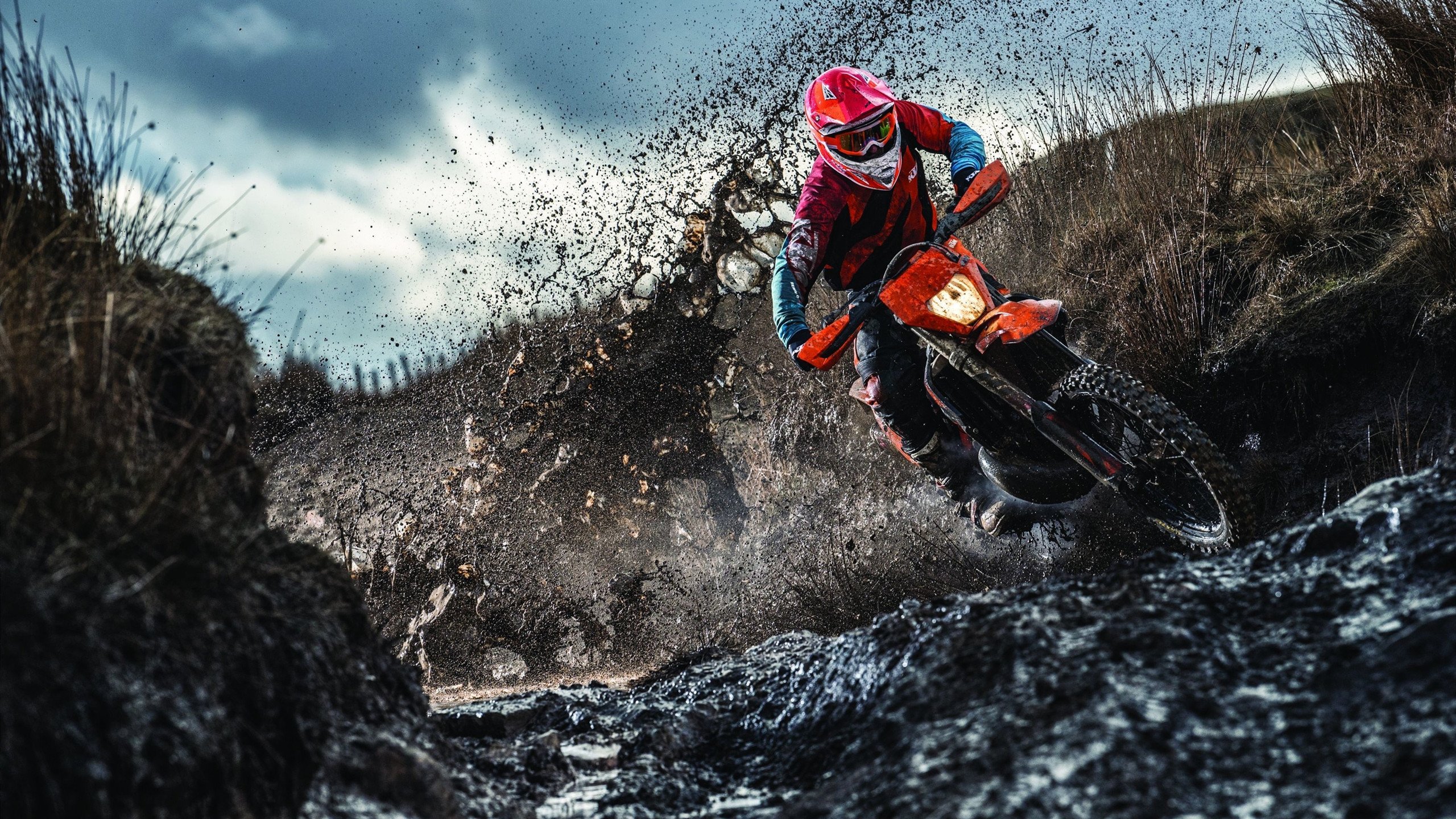 德国队的赛制应对：国际乒联混合团体世界杯挑战与机遇，德国乒乓球职业联赛